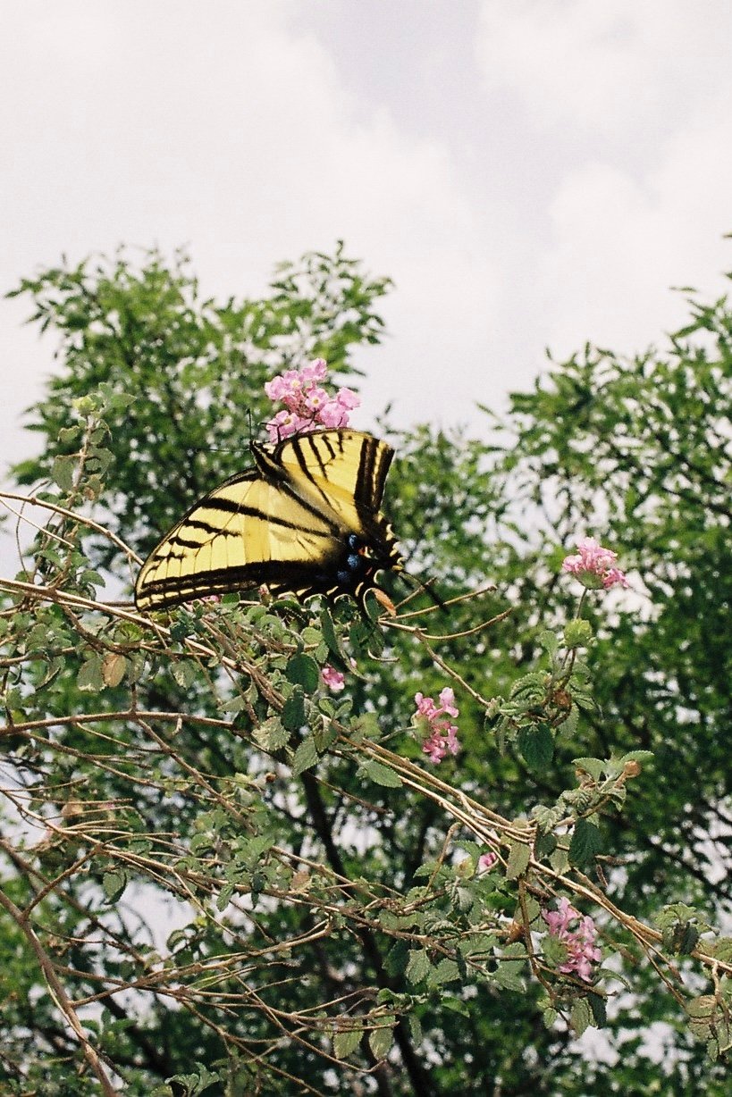 Photograph 25 by Ines Garcia Ferreiro